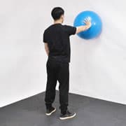 Stability Ball Wall Circles Demonstration