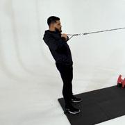 Cable Standing Row Demonstration