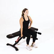 Dumbbell Seated Side Bend Demonstration