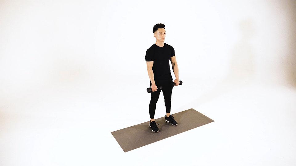 Dumbbell Reverse Bicep Curl  Demonstration
