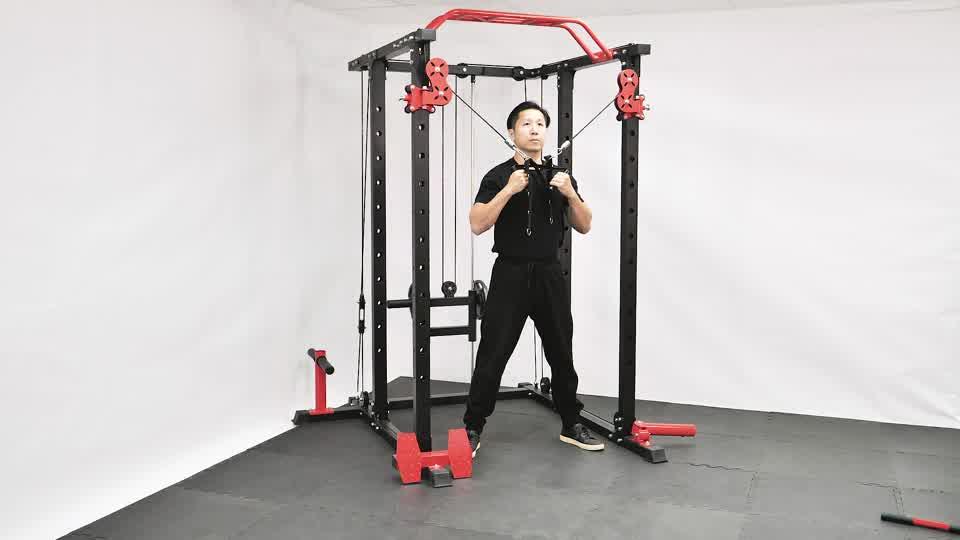Dual Cable Triceps Extension Demonstration