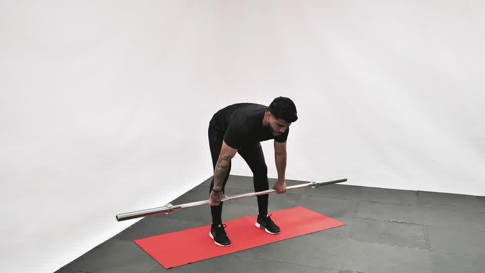 Barbell Rear Delt Row Demonstration