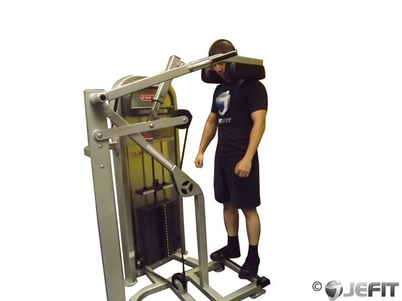 Calf Machine Shoulder Shrug Demonstration