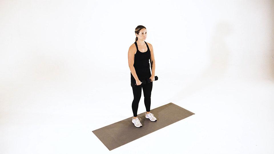 Dumbbell Deltoid Raise  Demonstration