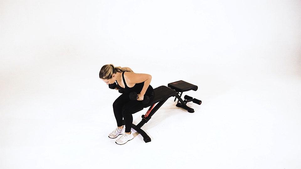 Dumbbell Seated Bent-Over Tricep Extension Demonstration