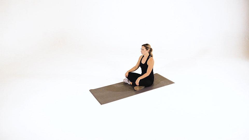 Seated Twist Demonstration