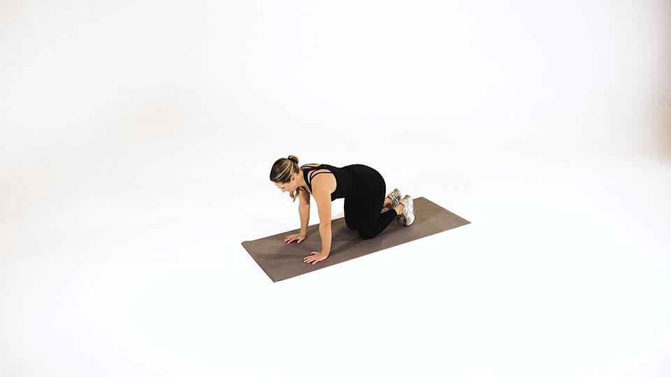Downward Facing Dog Single-Leg Demonstration