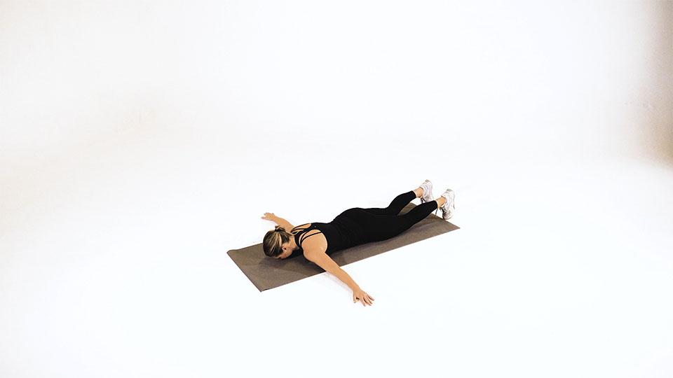 Scorpion Demonstration
