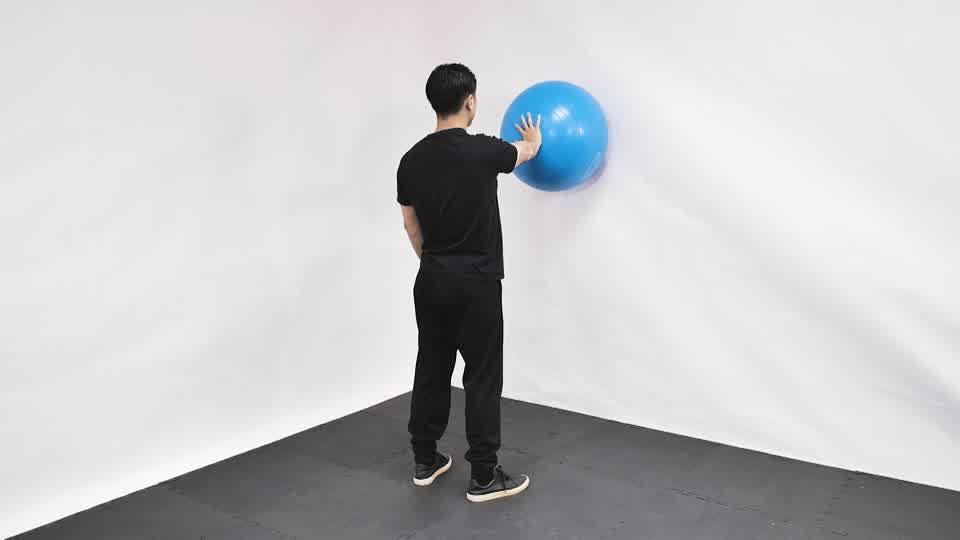 Stability Ball Wall Circles Demonstration