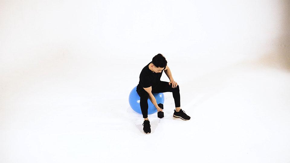 Dumbbell Concentration Curl on Stability Ball Demonstration