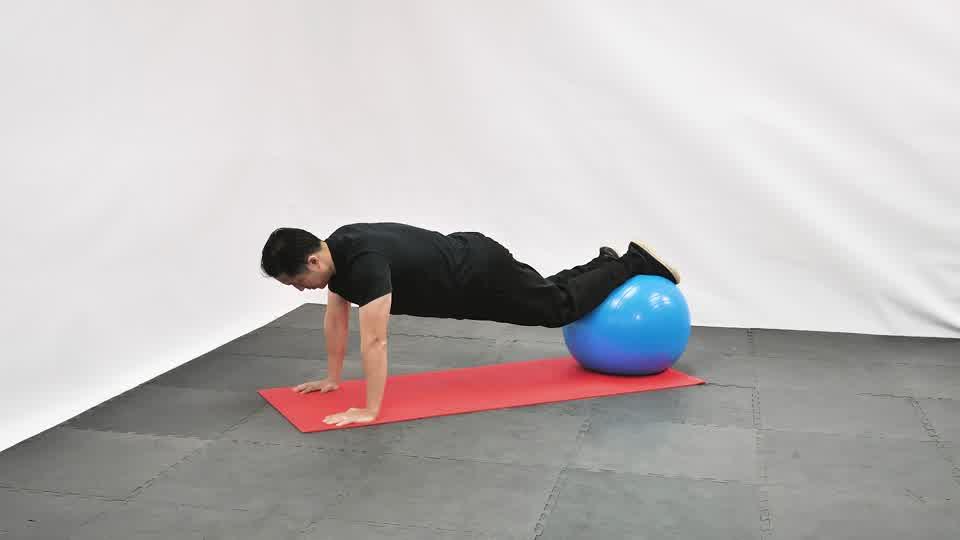 Stability Ball Jack Knife Push-Up Demonstration