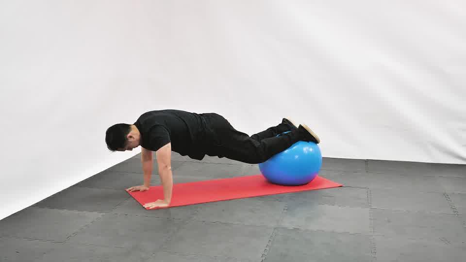 Stability Ball Pike Push-Up  Demonstration