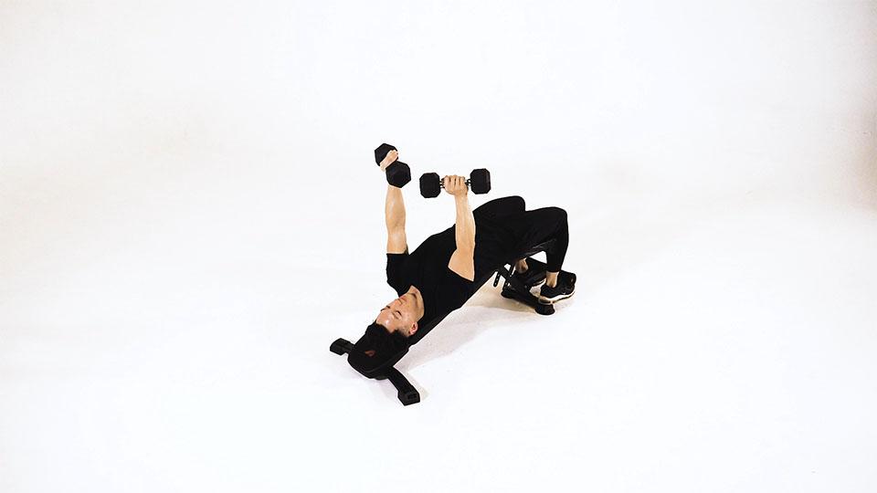Dumbbell Decline Press Demonstration