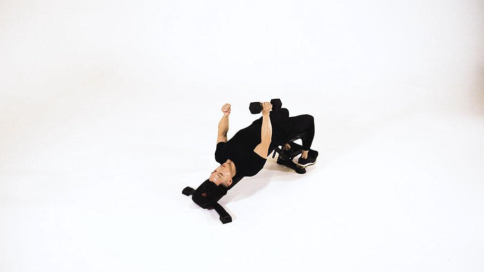 Dumbbell Decline One-Arm Hammer Press Demonstration