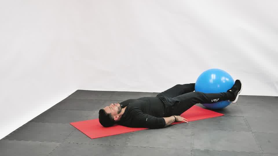Stability Ball Hand and Foot Exchange Demonstration