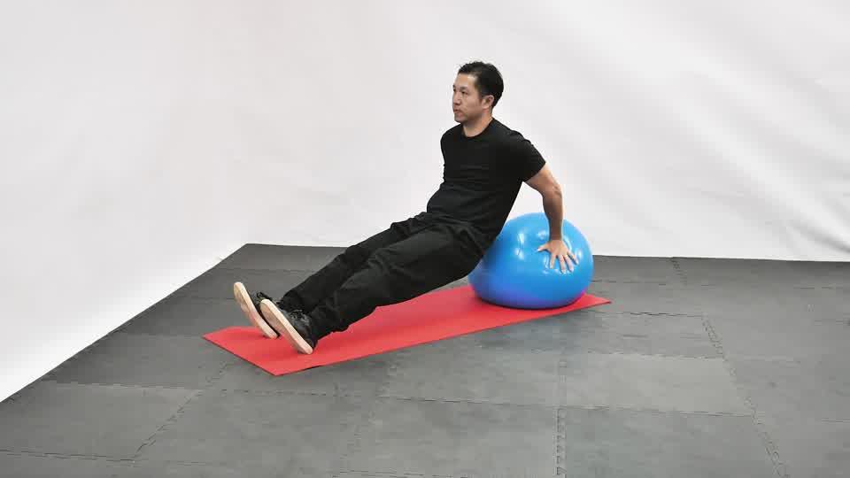 Stability Ball Dip Demonstration