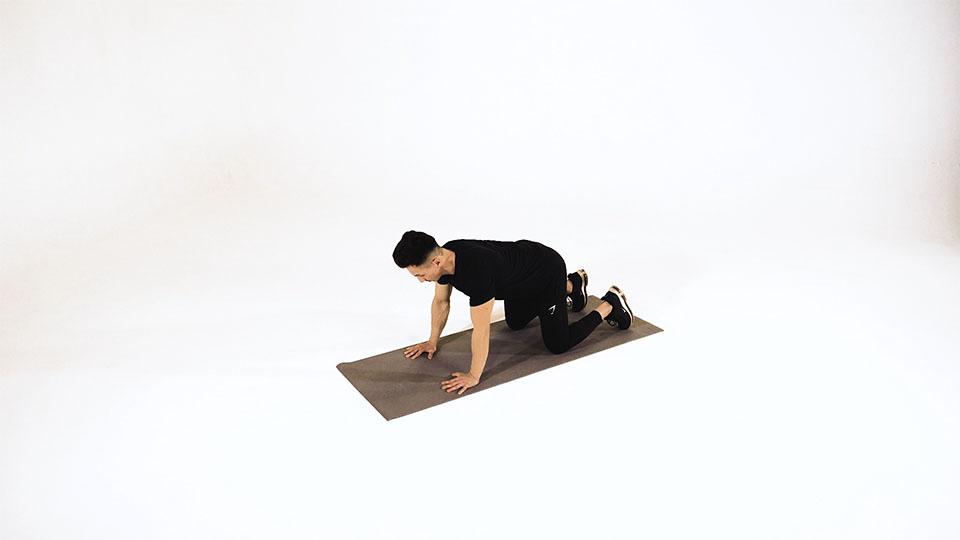 Cat Stretch Demonstration