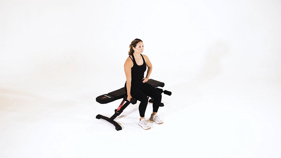 Dumbbell Seated Side Bend Demonstration