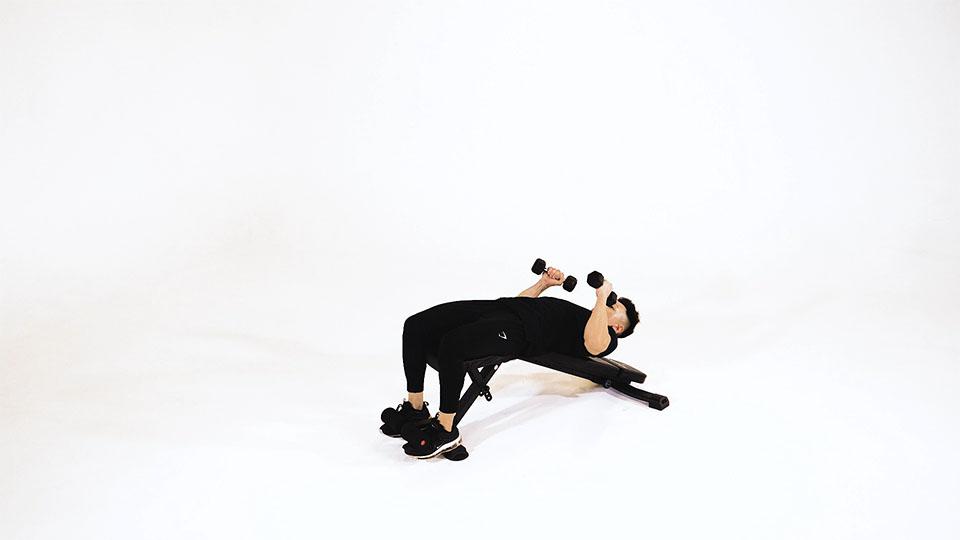 Dumbbell Rotational Decline Sit-Up Demonstration