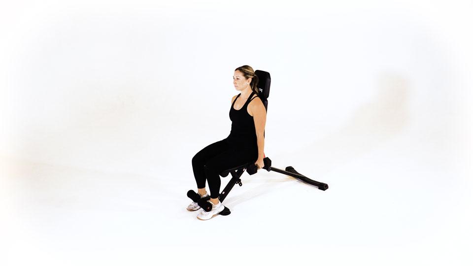 Dumbbell Seated Alternating Hammer Curl Demonstration