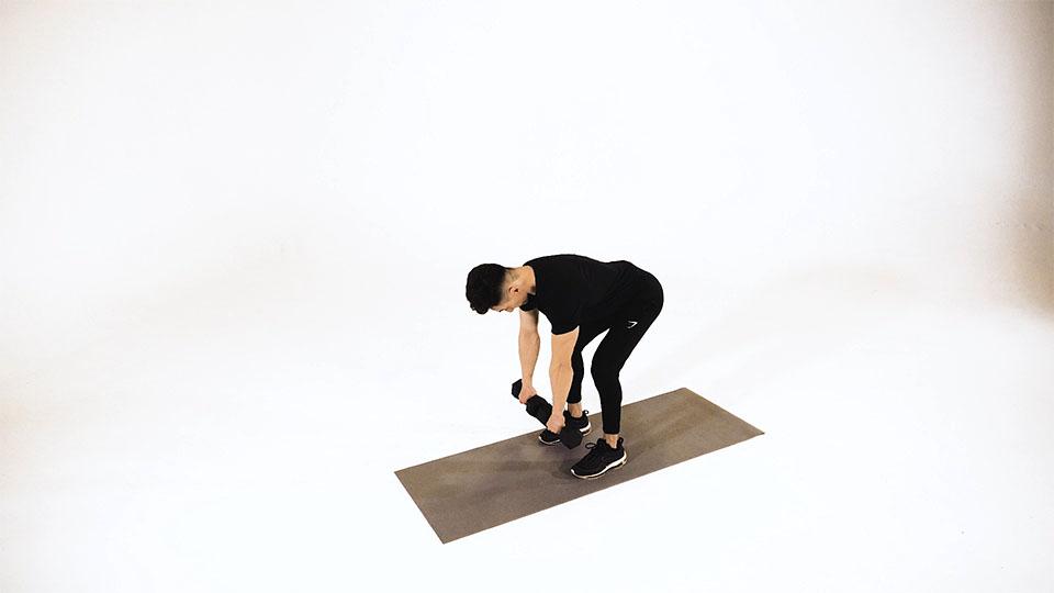 Dumbbell Bent-Over Row (Palm in) Demonstration