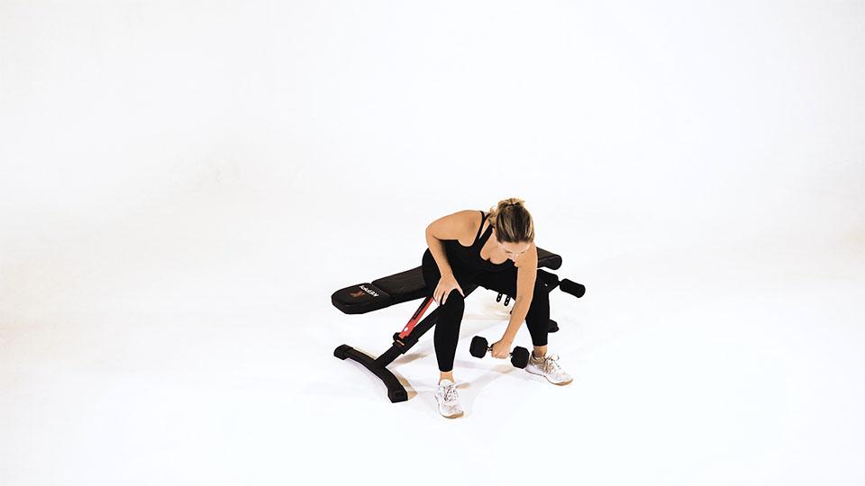 Dumbbell Reverse Concentration Curl Demonstration