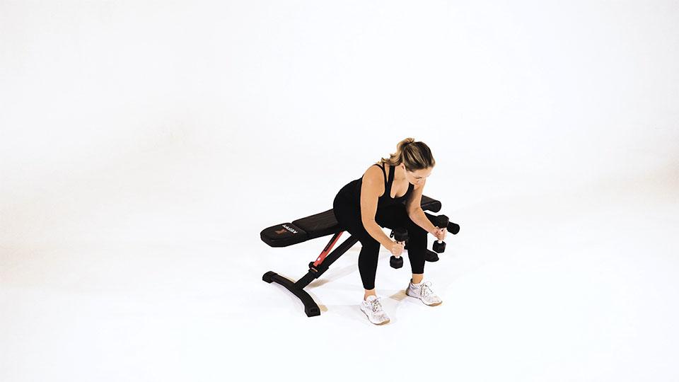 Dumbbell Seated Wrist Curl (Neutral Grip) Demonstration