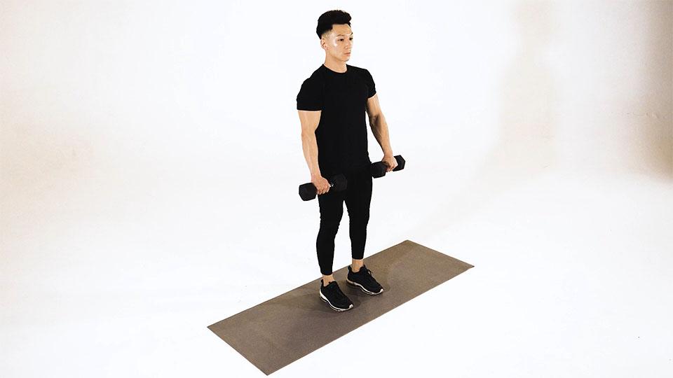 Dumbbell Bicep Curl (Reverse Grip) Demonstration