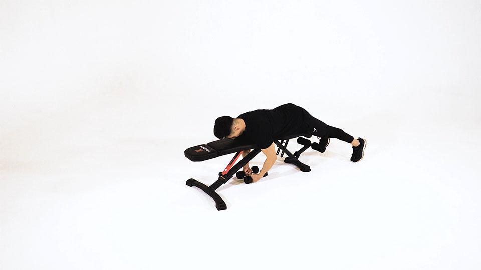 Dumbbell Alternating Reverse Fly (Prone) Demonstration