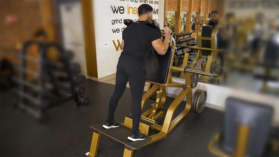 Hack Squat (Reverse Position) Demonstration