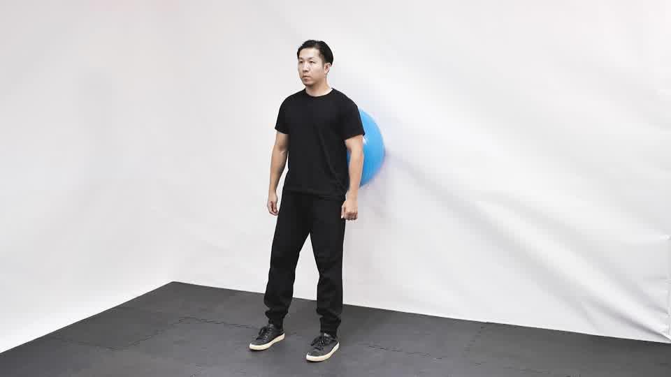 Stability Ball Wall Squat Demonstration