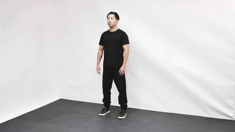 Bodyweight Wall Squat Demonstration