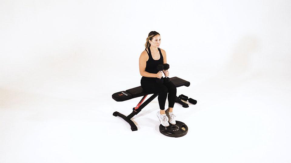 Dumbbell Seated Calf Raise Demonstration