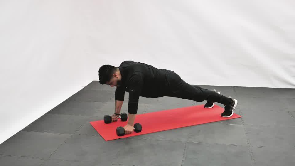Dumbbell Renegade Row Demonstration