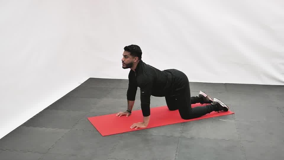 Cat Cow Stretch Demonstration
