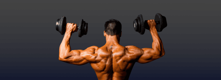 Back and Biceps banner