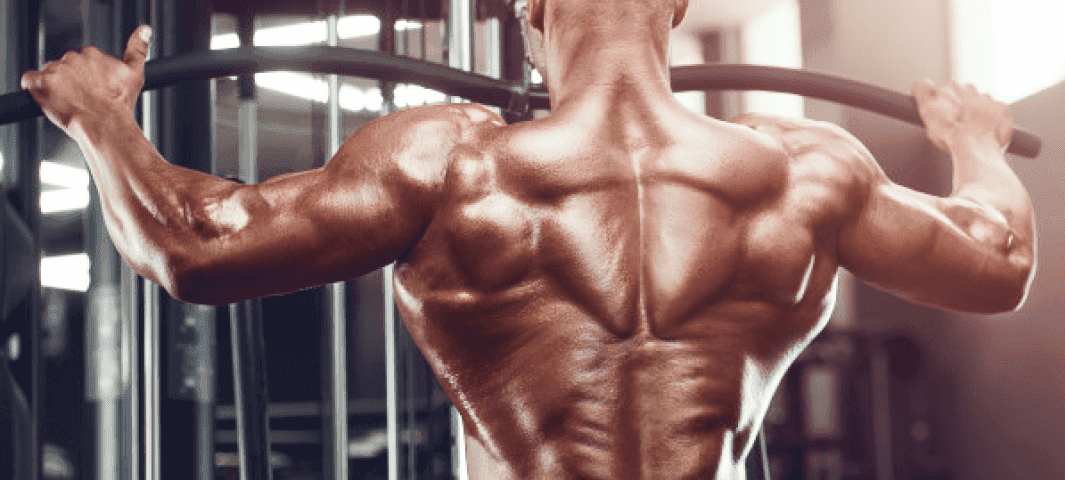 Machine Back & Chest banner