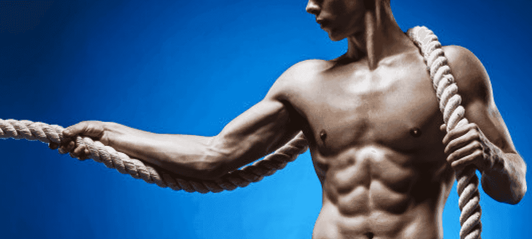 Fit to the Core Plan banner