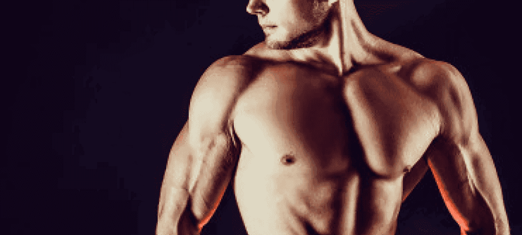 Building Bodyweight Strength 2 banner