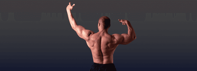 Elite Wizard - Building Solid Muscle banner