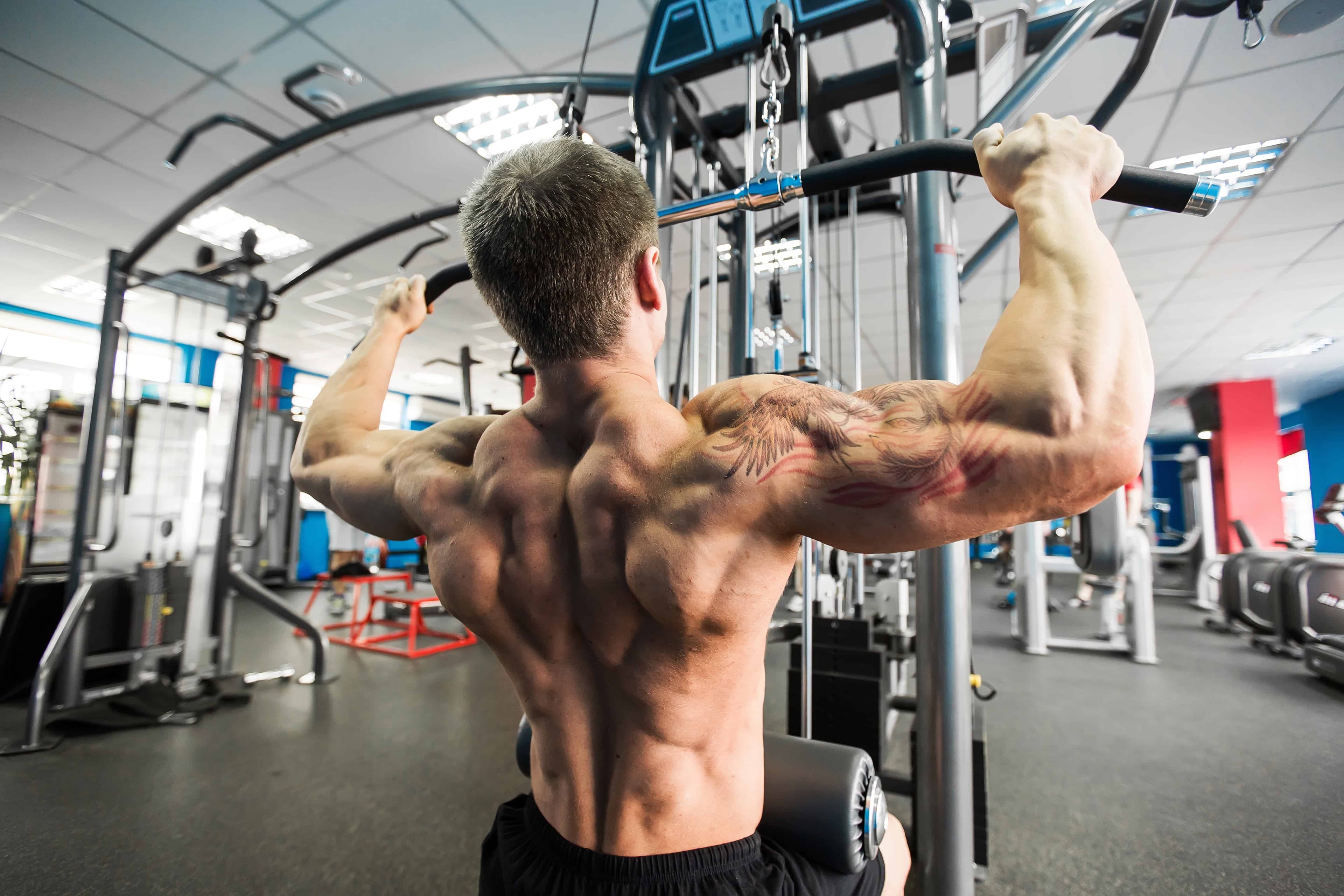 Building a Strong Back: Importance of Vertical &amp; Horizontal Pulling