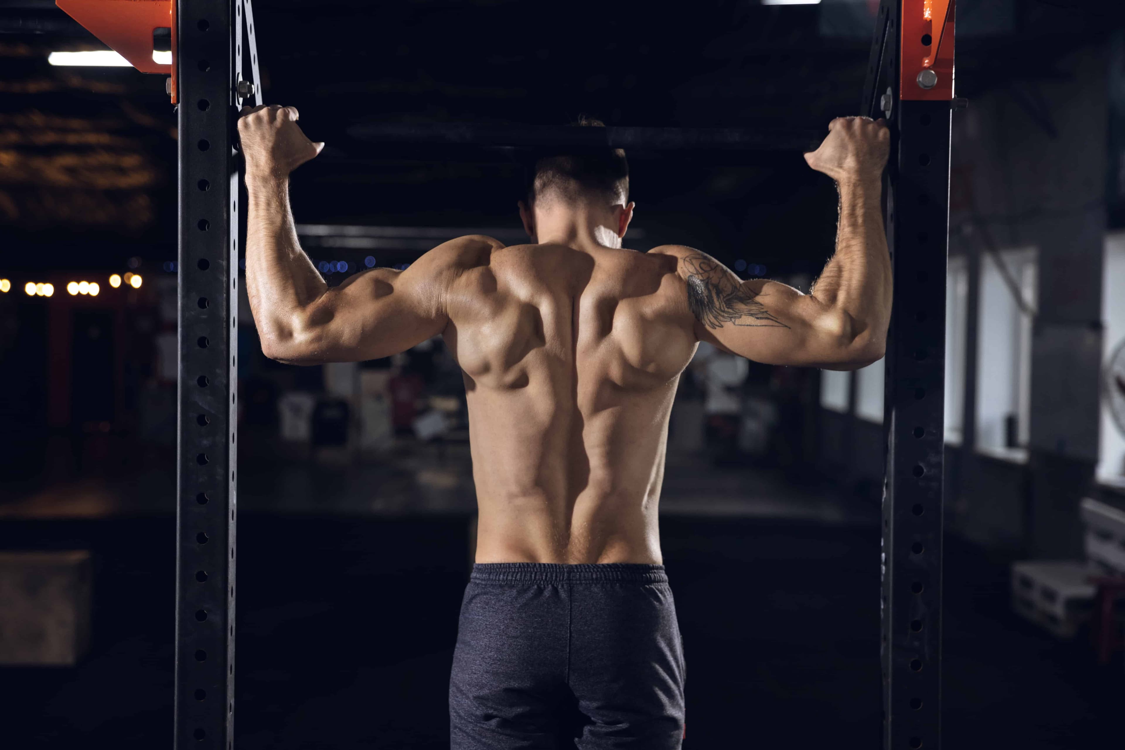 Want a Strong Back? Try these Jefit Exercises