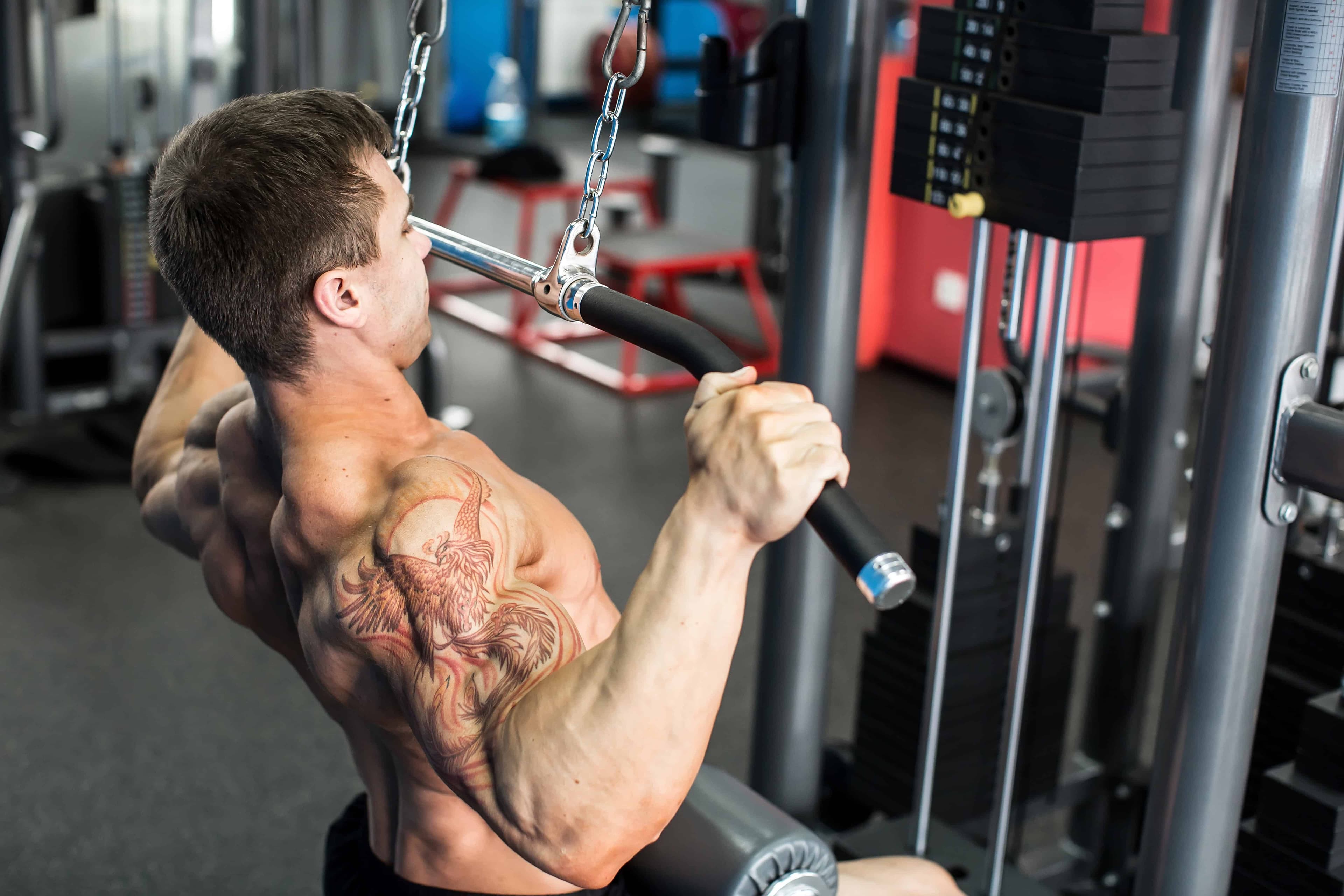 Best Back Exercises for Maximum Muscle Activation