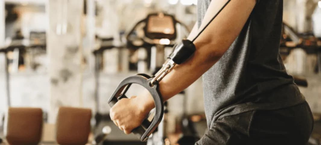 Elite - 5 Day Muscle Building Split banner