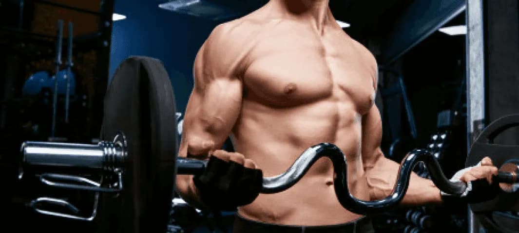 6 Day Bulking Split banner