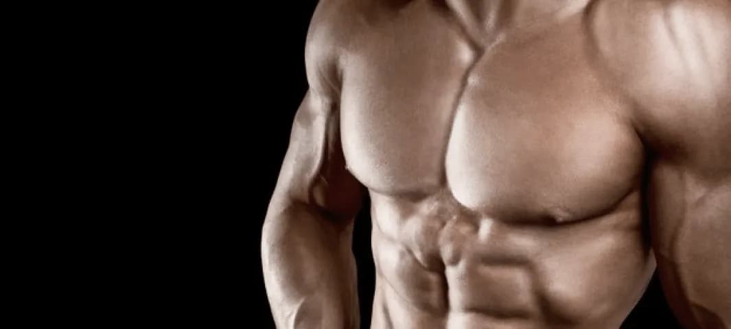 Copy of 6-Weeks to Six-Pack Abs banner