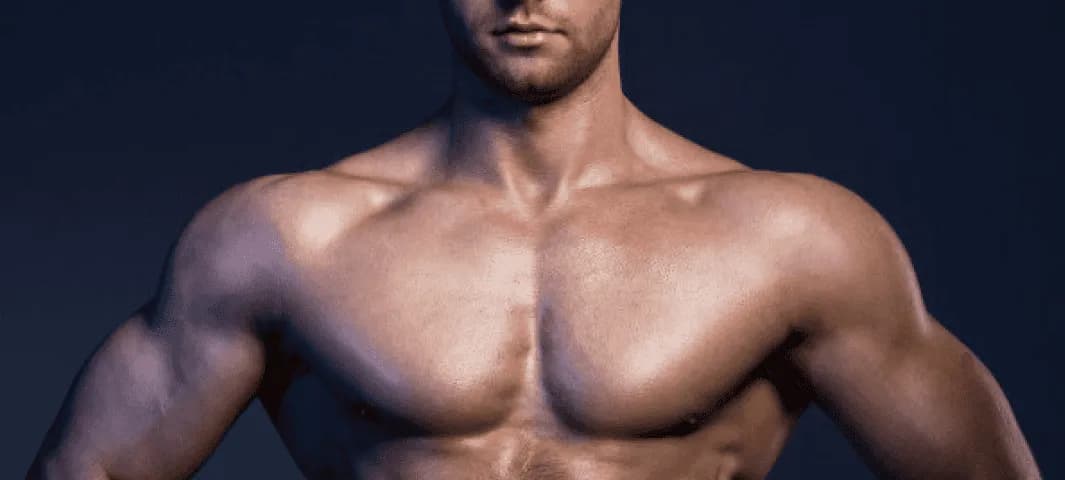 Copy of Elite - 4 Months To Dense Muscle banner