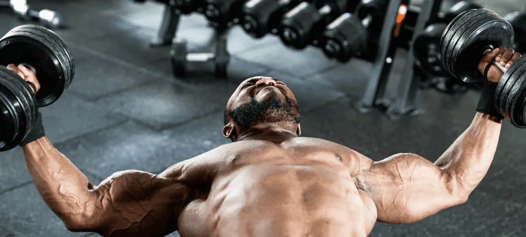 Build More Muscle Program banner