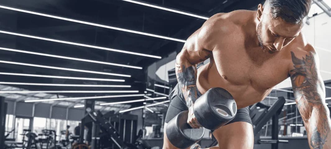 Build Muscle Program (Beginner) banner