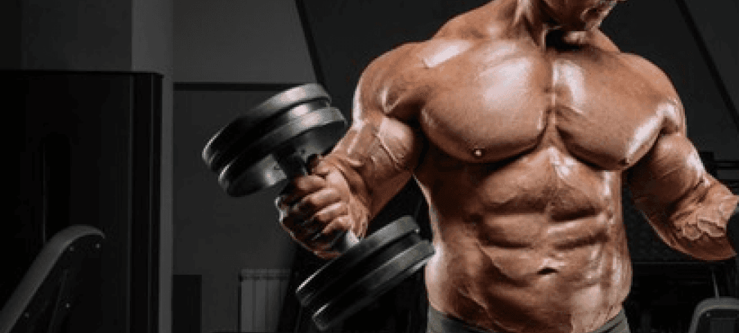 Dumbbell Full Body Routine (4-days) banner